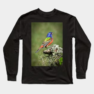Painted Bunting Male Bird in Florida Long Sleeve T-Shirt